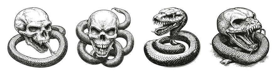Vintage Vector Design of Cobra and Skull Illustrations for Artwork, vector illustration, engraving design, logo design set, black and white line, template design element