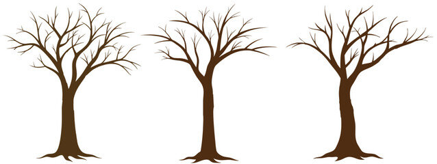vector tree silhouette
