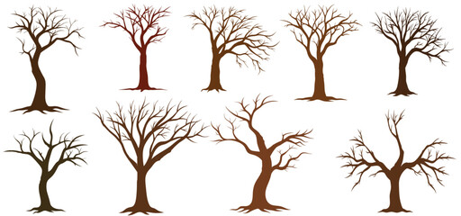 Tree branch silhouettes. Abstract forest trees without leaves natural plants vector illustration