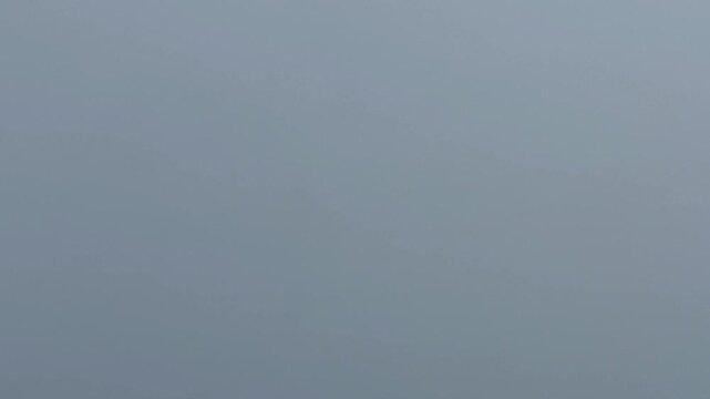 HAL Tejas Indian Navy planes flying in the sky