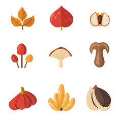 My Simple flat 2D illustration of a set of autumn leaves and fruit isolated on a transparent background, vector, flat design, animation design, simple flat 2D icon, clipart