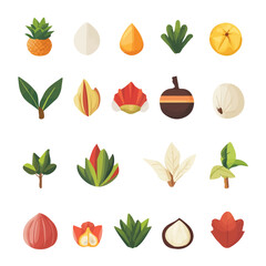 My Simple flat 2D illustration of  set of autumn leaves and fruit isolated on a transparent background, vector, flat design, animation design, simple flat 2D icon, clipart