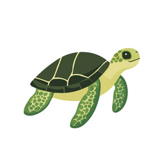 My Simple flat 2D illustration of a sea turtle isolated on a transparent background, vector, flat design, animation design, simple flat 2D icon, clipart