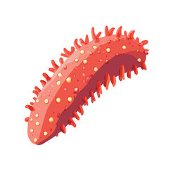 My Simple flat 2D illustration of a sea cucumber isolated on a transparent background, vector, flat design, animation design, simple flat 2D icon, clipart