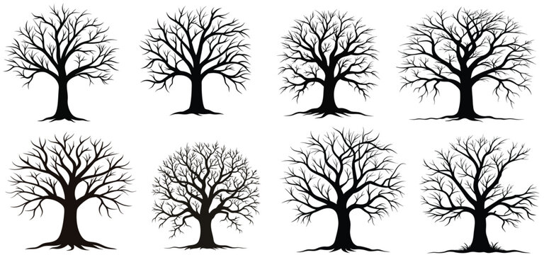 Bare Tree Silhouette Illustration for Nature and Design Projects vector Illustration