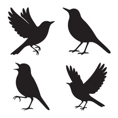 bird flying animal silhouette vector collection