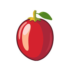 My Simple flat 2D illustration of tamarillo isolated on a transparent background, vector, flat design, animation design, simple flat 2D icon, clipart