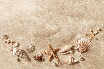 Top view of a sandy beach with collection of seashells and starfish as natural textured background for aesthetic summer travel and vacation design