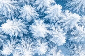 Snowy winter forest top-down view