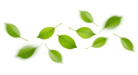 Naklejka premium Fresh green leaves floating in the air. A vibrant display of nature's beauty