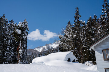 Thick layers of untouched snow cover rooftops and the landscape under a bright blue sky in a quiet forested village, capturing the purity, stillness, and beauty of winter in a serene natural setting.