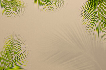 Shadow palm leaf summer backgroun overlay beige color template mockup pastel minimal for presentation product cosmetic aesthetic beauty, poster backdrop artistic marketing, sunshine nature room.