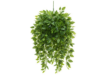 Artificial Hanging Plant Greenery isolated on transparent background