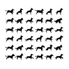 25 Dogs: A Collection of Canine Companions