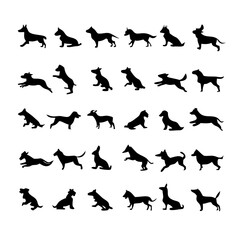 25 Dogs: A Collection of Canine Companions