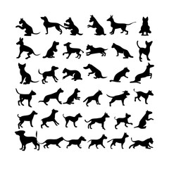 25 Dogs: A Collection of Canine Companions
