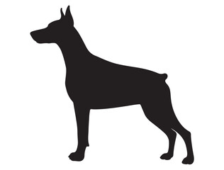 DOBERMAN DOG SILHOUETTE