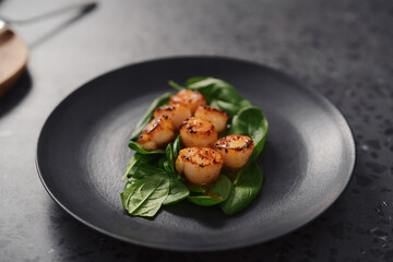 Seared scallops on pile of spinach on black plate closeup