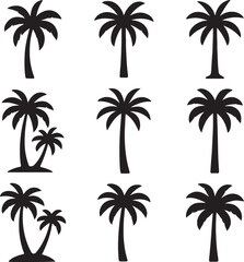 palm tree silhouette