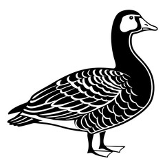 Mandarin Duck vector Outline Clipart – Exotic Colorful Waterfowl Drawing