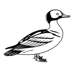 Mallard Duck Vector – Classic Farm Bird Silhouette Illustration



