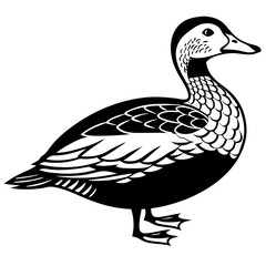 Mandarin Duck vector Outline Clipart – Exotic Colorful Waterfowl Drawing