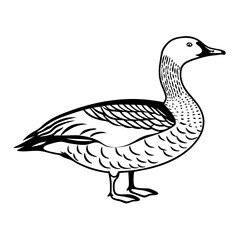 Mallard Duck Vector – Classic Farm Bird Silhouette Illustration


