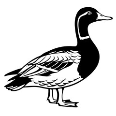 Mallard Duck Vector – Classic Farm Bird Silhouette Illustration


