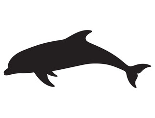 DOLPHIN SILHOUETTE WHITE BACKGROUND