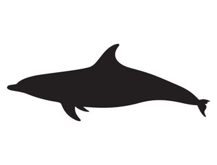 DOLPHIN SILHOUETTE WHITE BACKGROUND