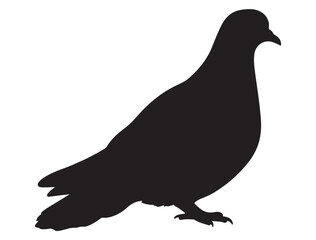 DOVE SILHOUETTE WHITE BACKGROUND