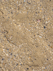 Texture ravvicinata di sabbia grossolana di spiaggia composta da conchiglie fini e particelle organiche