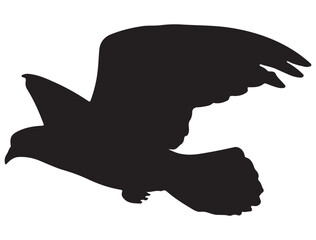 DOVE SILHOUETTE WHITE BACKGROUND