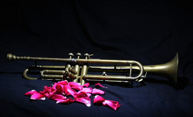Rose petals and an ancient trumpet on a black background
