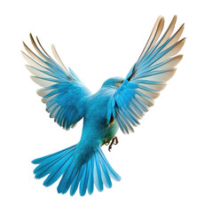 Vibrant Blue Bird in Flight