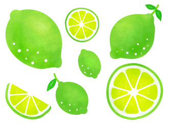 シンプルなライムのベクターイラストセット