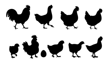 Chickens in pasture silhouette farm pets.