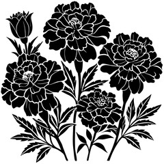 Marigold with leaves. Flower silhoutte. Vector illustration
