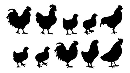 Chickens in pasture silhouette farm pets.