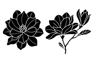 set of magnolia flowers with leaves. Flower silhoutte. Vector illustration