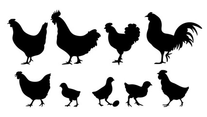 Chickens in pasture silhouette farm pets.