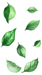 Falling green leaves illustration