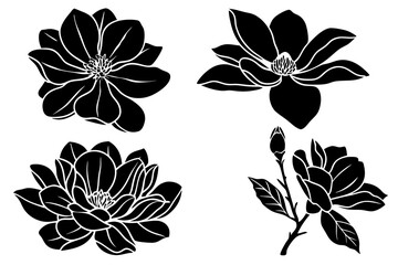 set of magnolia flowers with leaves. Flower silhoutte. Vector illustration