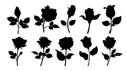 Set of decorative rose with leaves. Flower silhoutte. Vector illustration