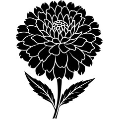 Marigold with leaves. Flower silhoutte. Vector illustration