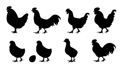 Chickens in pasture silhouette farm pets.