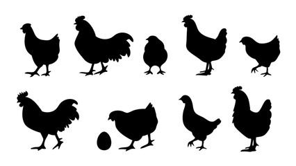 Chickens in pasture silhouette farm pets.