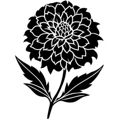 Marigold with leaves. Flower silhoutte. Vector illustration