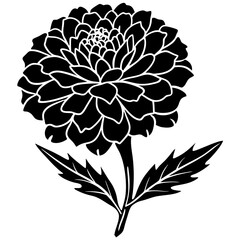 Marigold with leaves. Flower silhoutte. Vector illustration