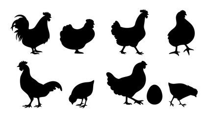 Chickens in pasture silhouette farm pets.